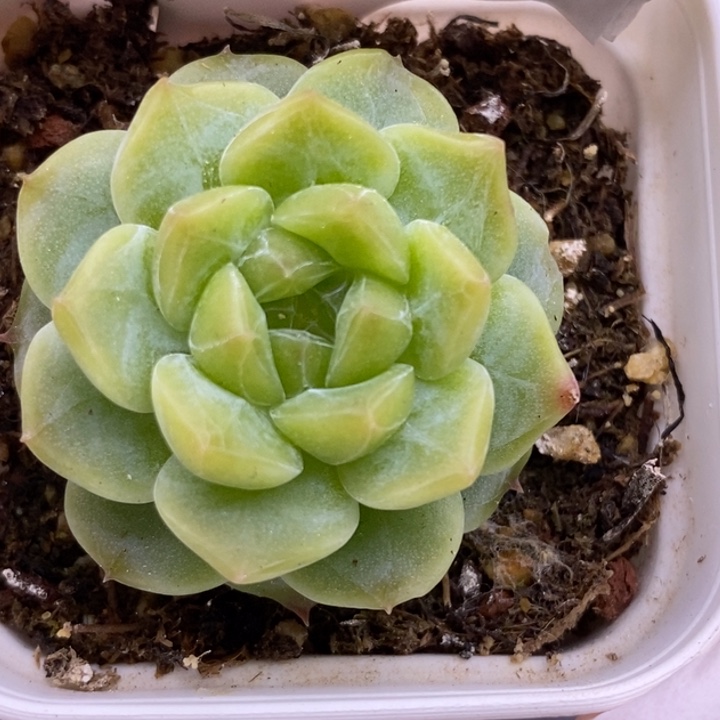 【闪购商品】29-04