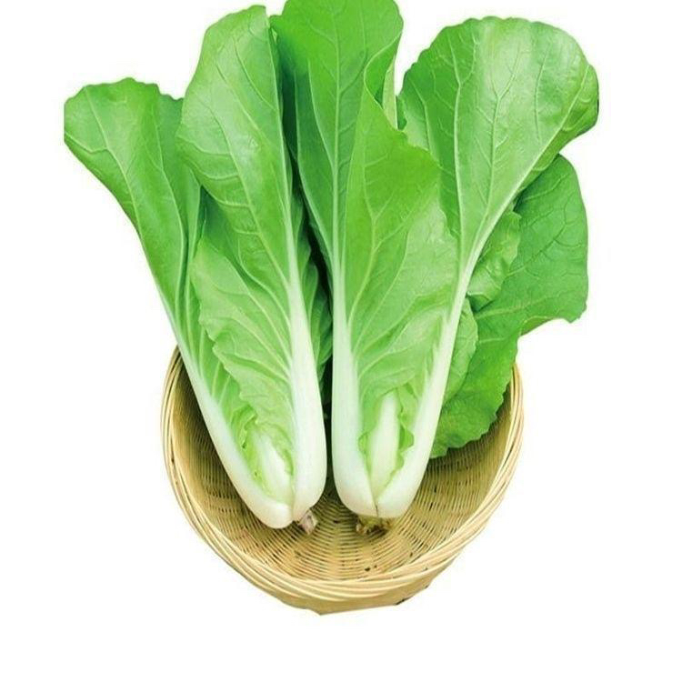 小白菜 500g±50g/份