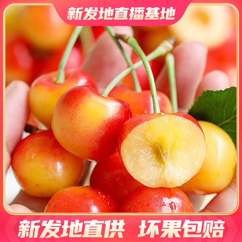 【4.4斤原箱】智利空运雷尼尔Rainier黄金车厘子
