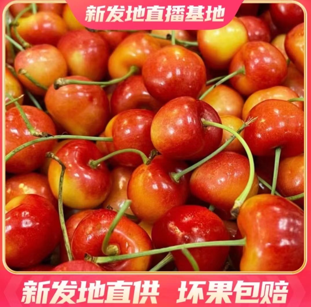 【庆双旦】智利空运 斯凯拉雷-天空之城 车厘子3J【4斤原箱】新鲜脆甜