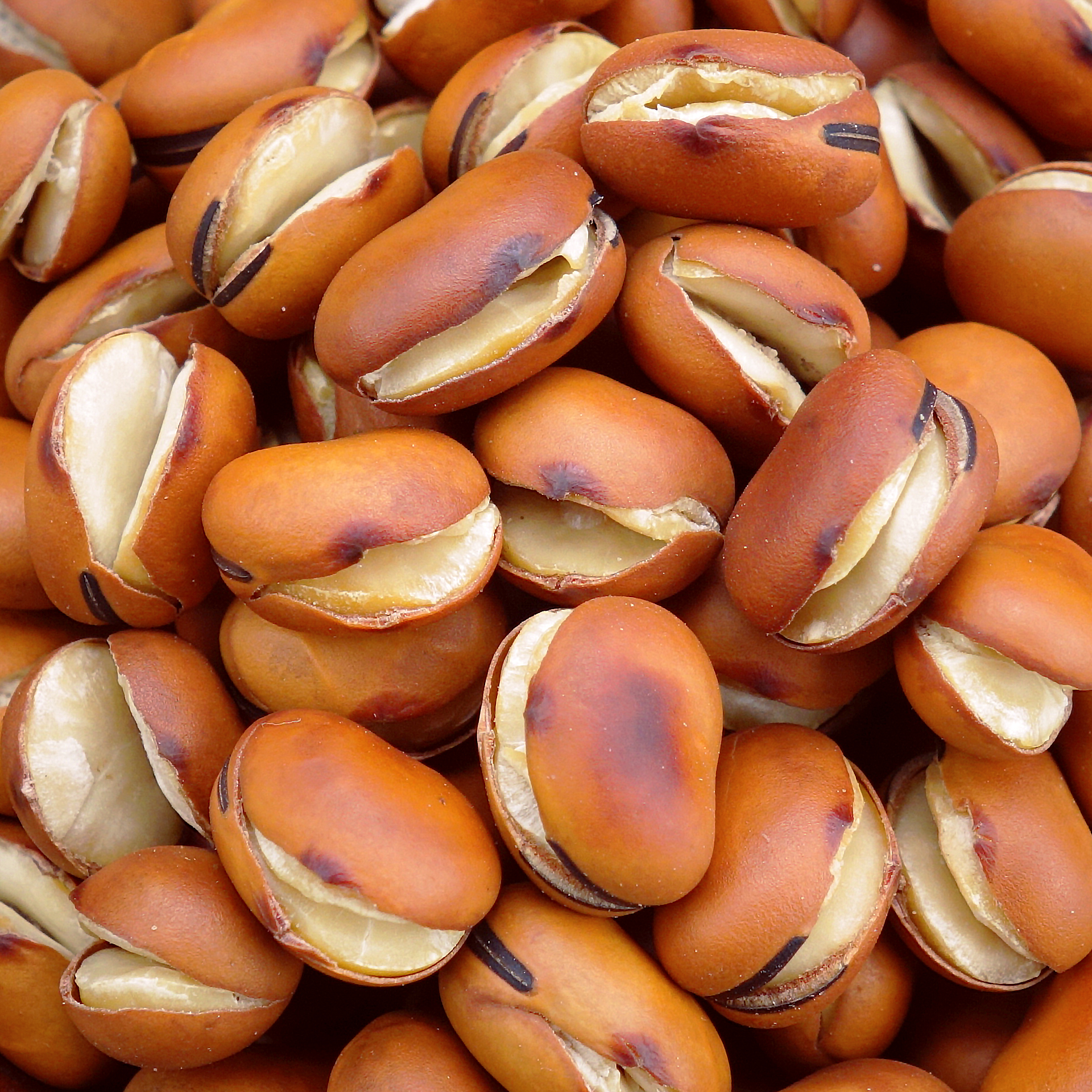 近期新货铁锅炒蚕豆原味胡豆酥松传统炒货零食干炒大豆子香脆