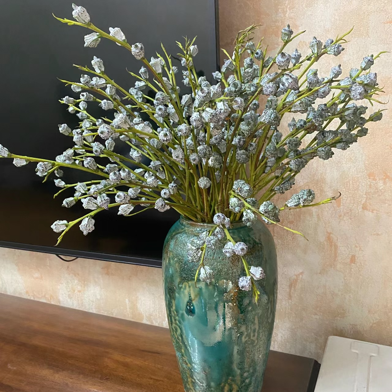 软装花材鲜切花【尤加利果】/可做干花/1扎50个果子左右