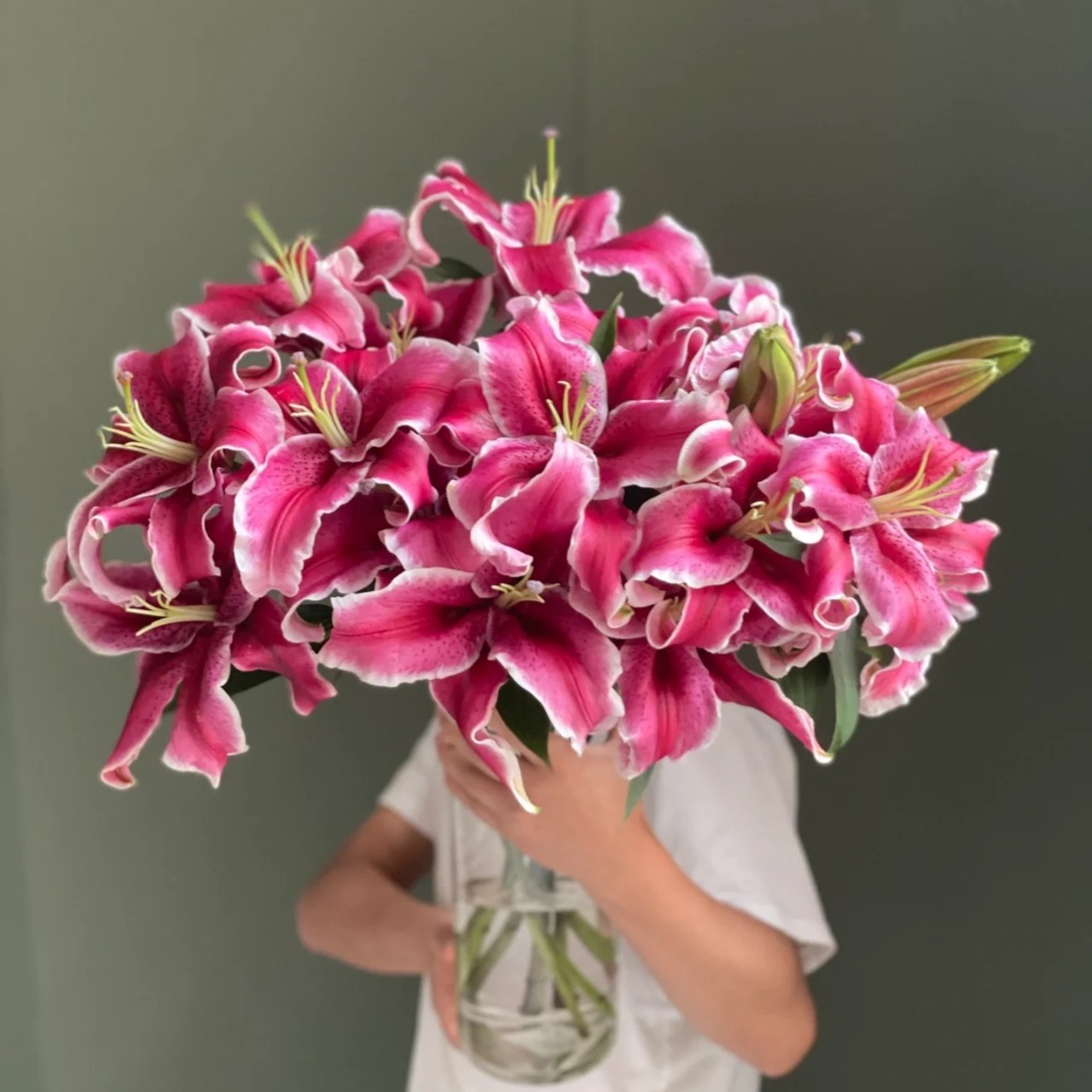 A级香水百合粉红【黑美人】/10支30个大花苞新鲜好看新手养护