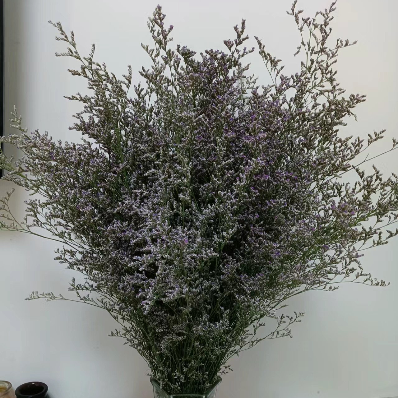 鲜切花【情人草】1扎1公斤/可做干花新鲜好看新手