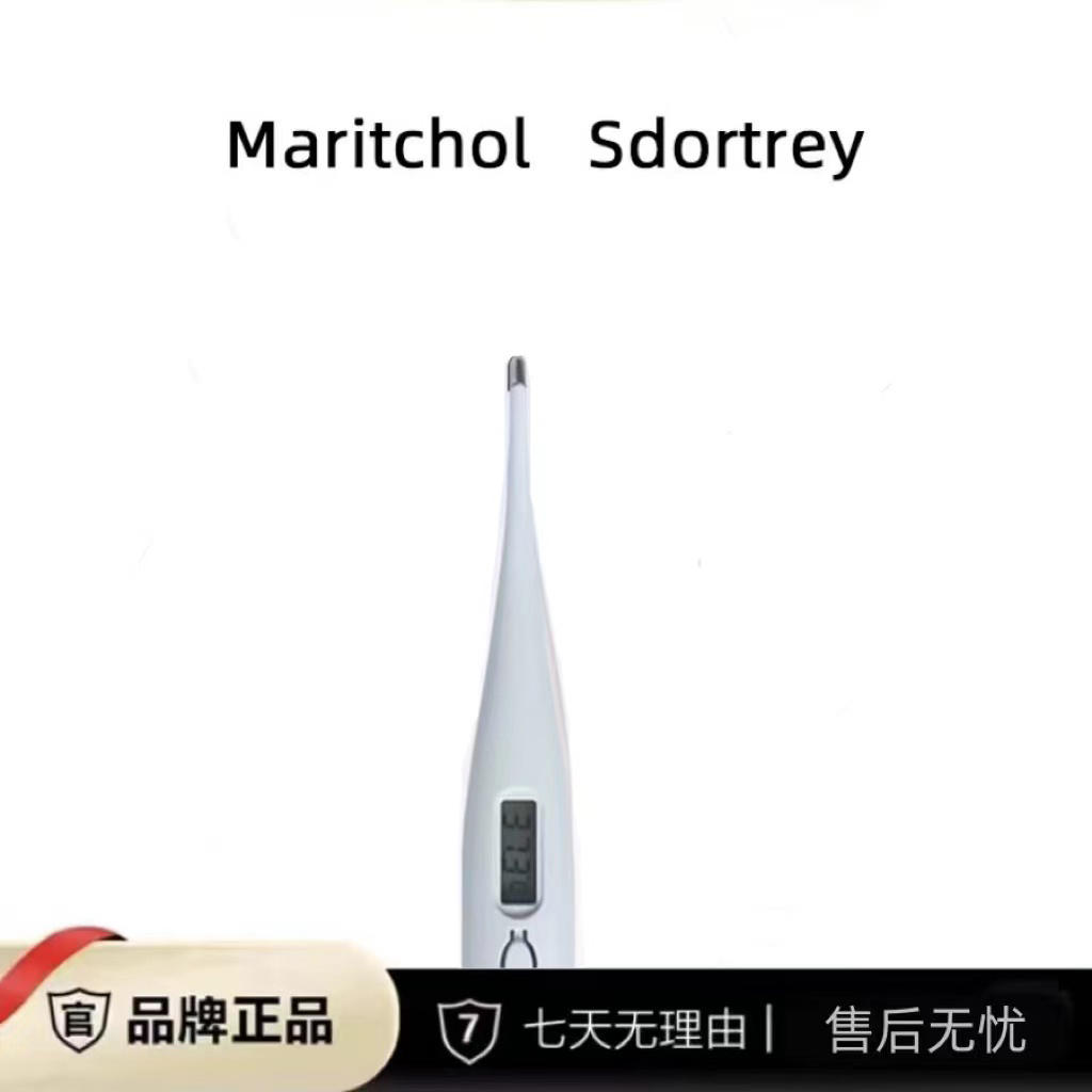 【中海107号仓】电子温度计加大版用高颜值ins配件