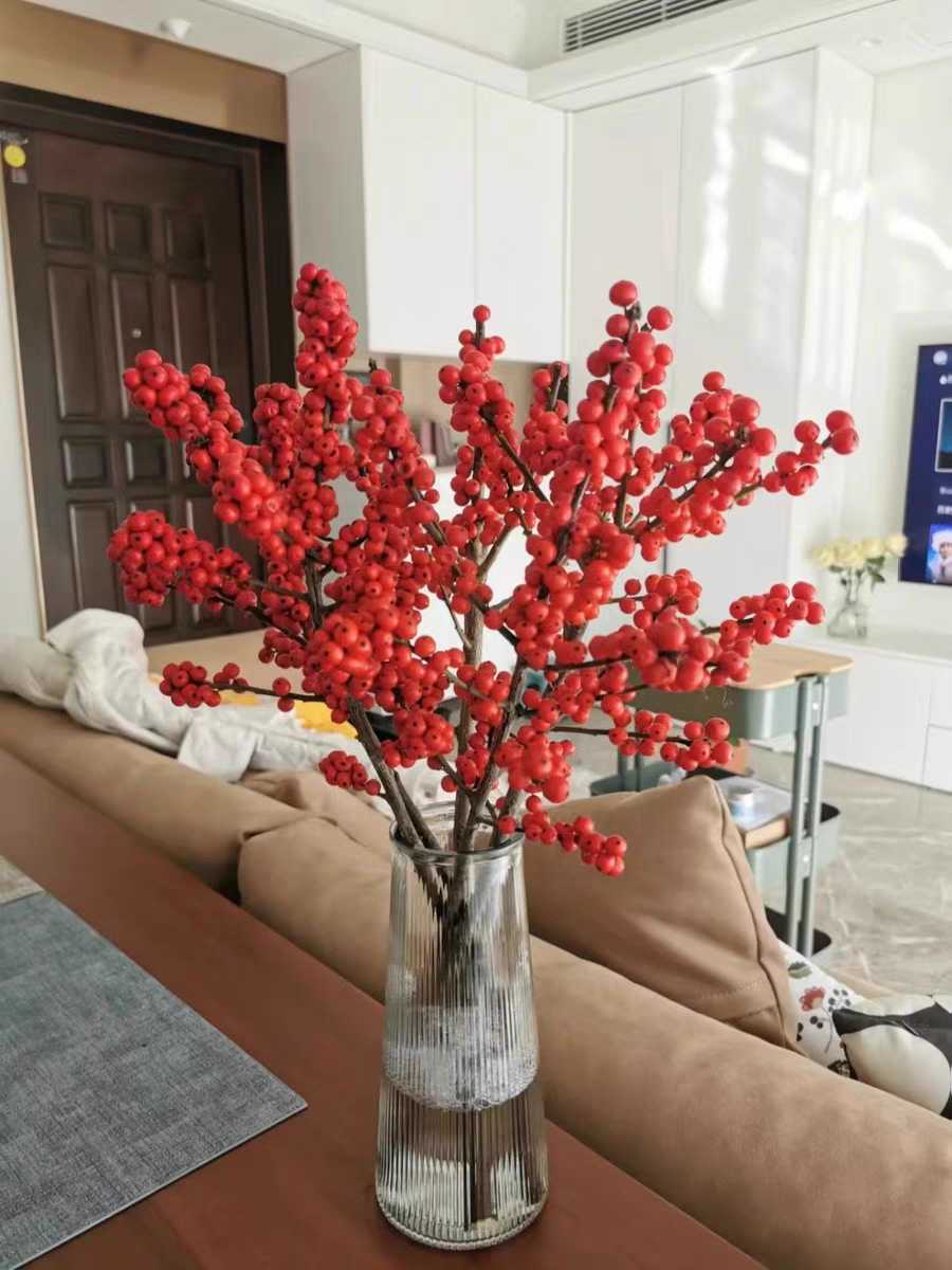 北美冬青红果鲜切枝水培鲜切花室内水养绿植年宵花卉鲜花盆栽植物