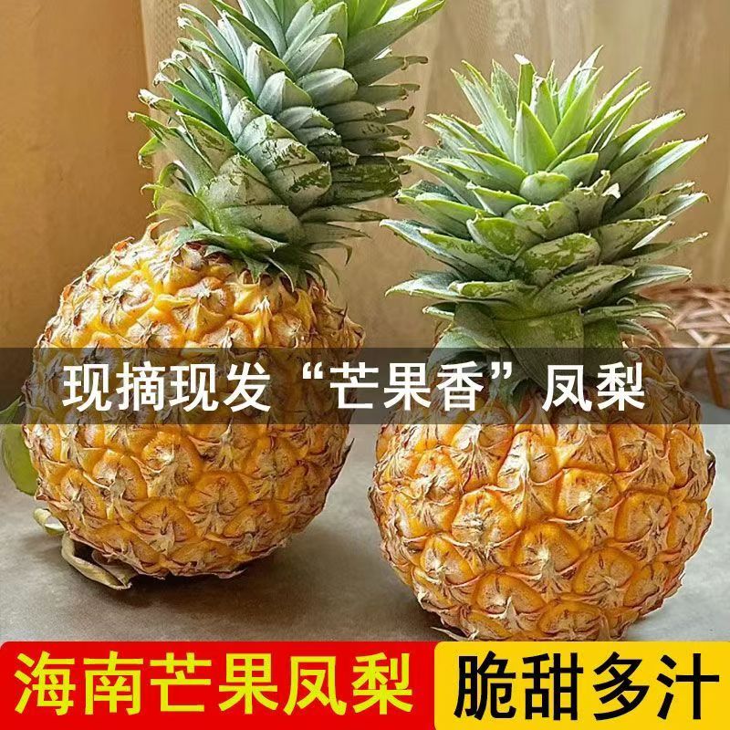 【芒果凤梨礼盒装】自然成熟芒果凤梨台农23号新鲜水果应季现摘顺丰