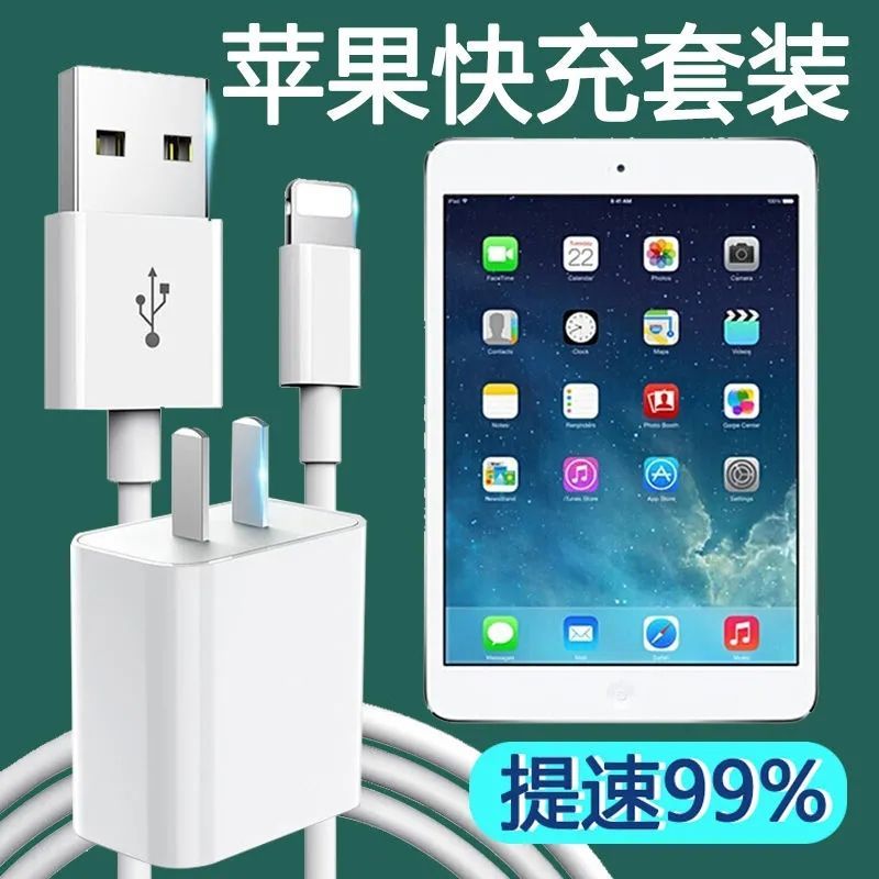 苹果iPadmini2充电器线A1489快充头A1490数据线原平板通用套装