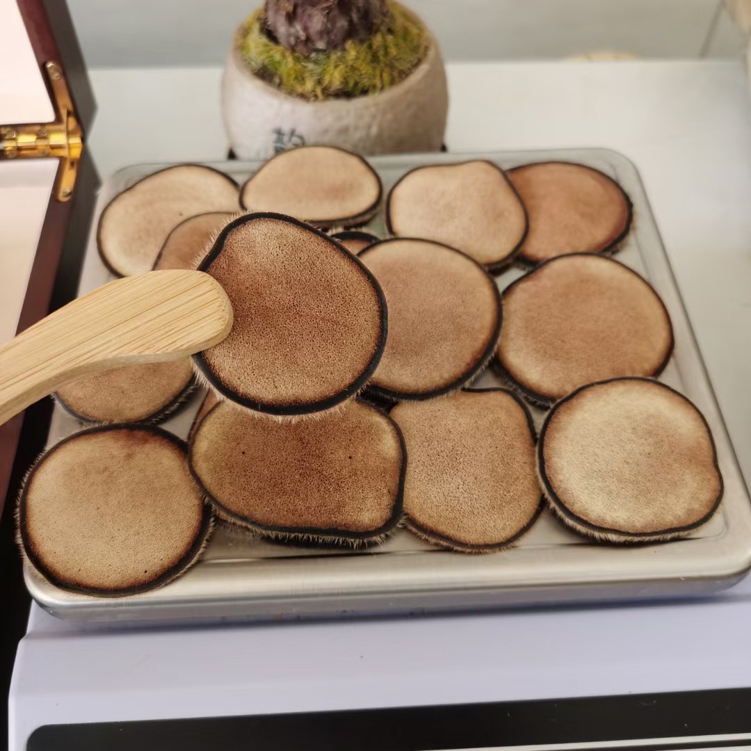 鹿茸黄粉片20克 