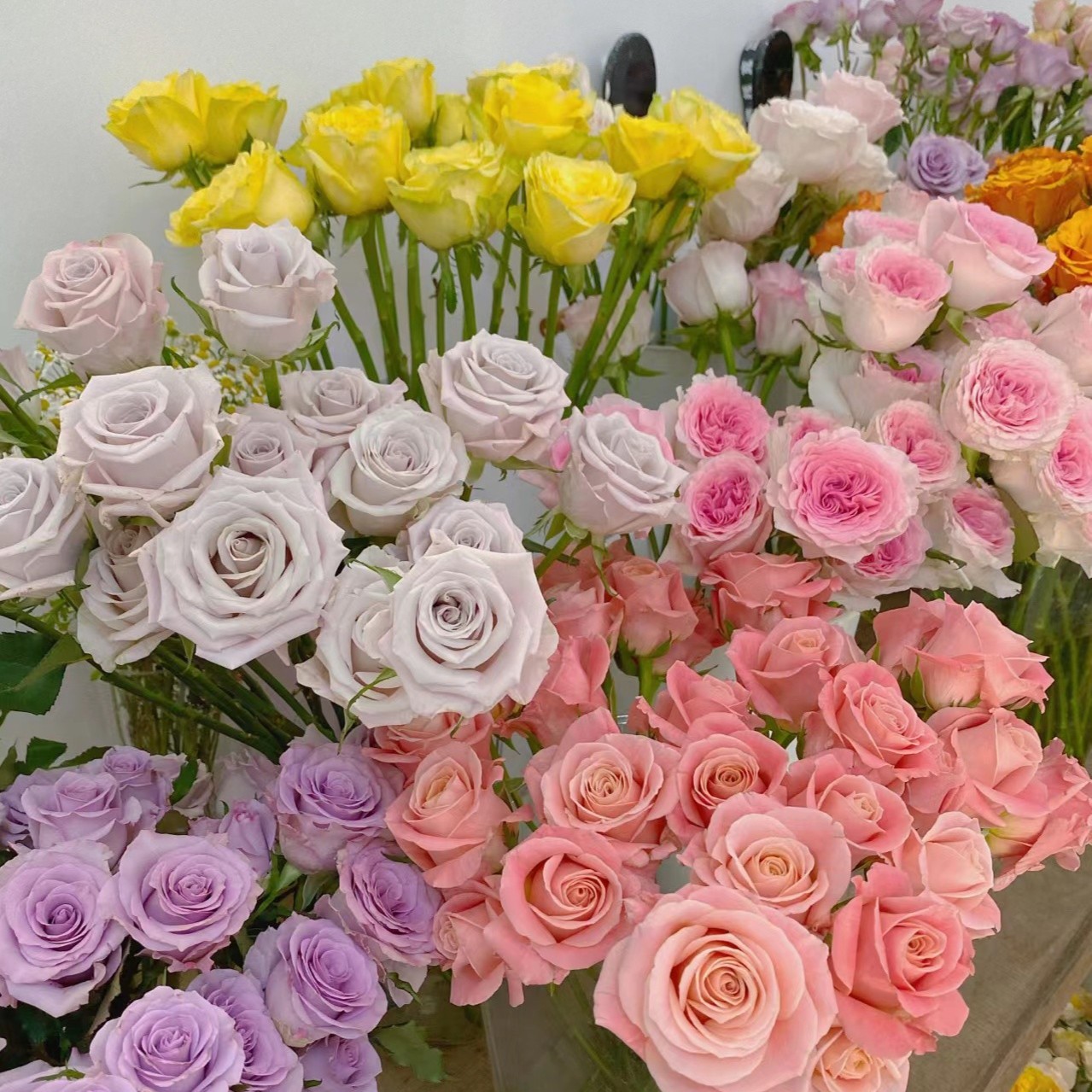 香槟+多头玫瑰+洋甘菊+优加利云南昆明直发加保鲜剂