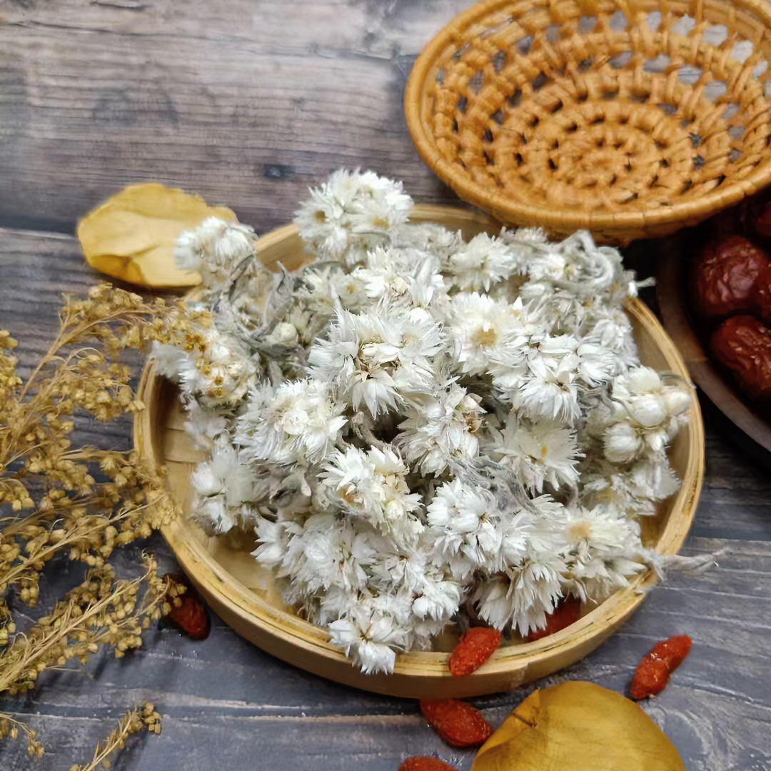 【雪菊】藏地雪域高原海拔4000冰川雪菊参