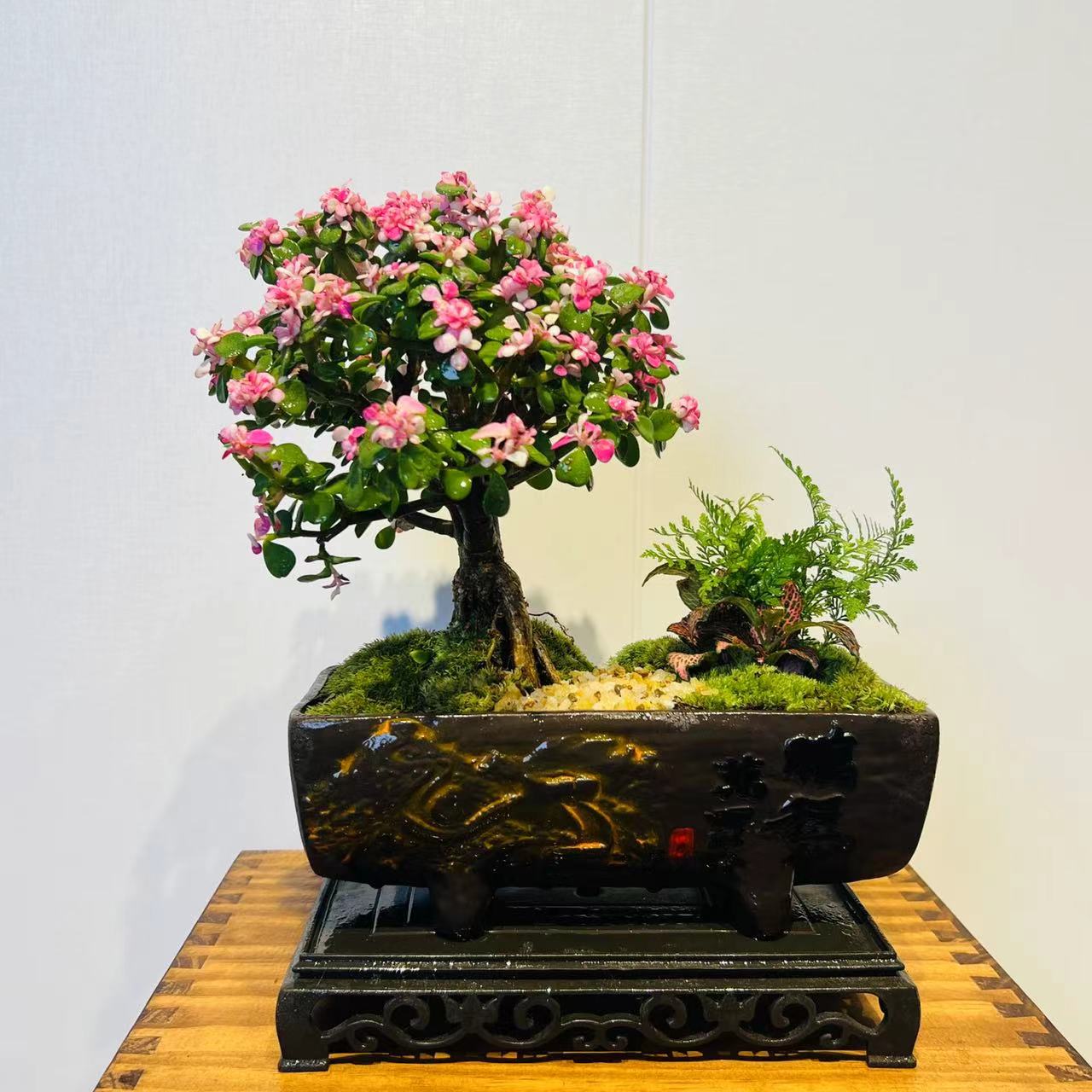 鹏程万里棒棒糖造景金枝玉叶+营养液+接水盘