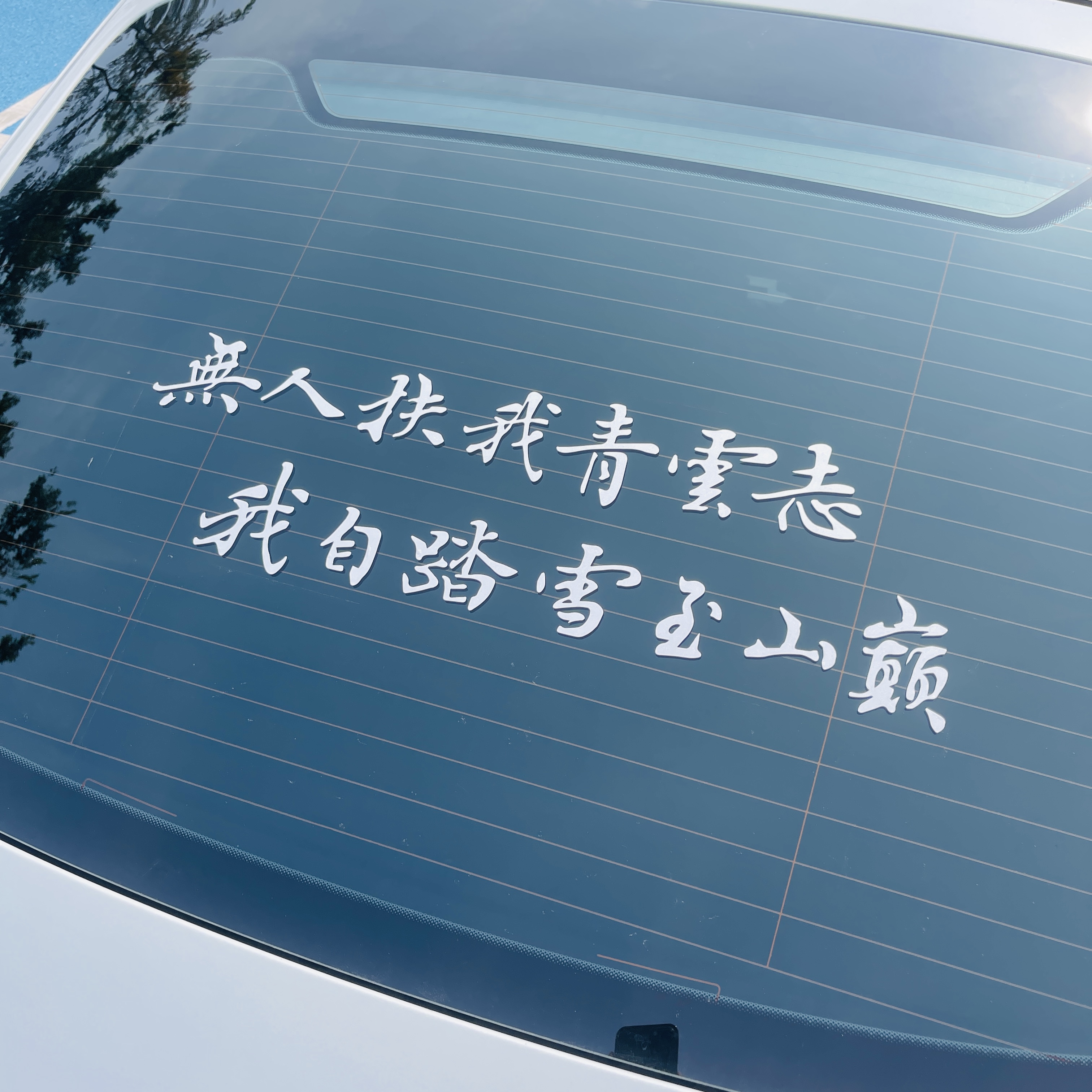 无人扶我青云志汽车贴纸创意励志天窗后窗电动车车贴车门文字贴画