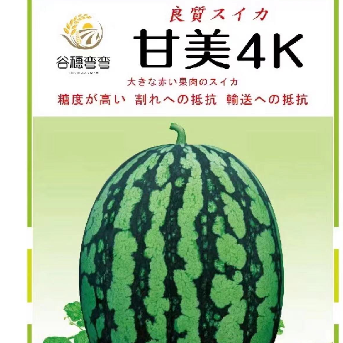 甘美4k西瓜种子 早熟 高产 抗裂 瓤红 甜度高