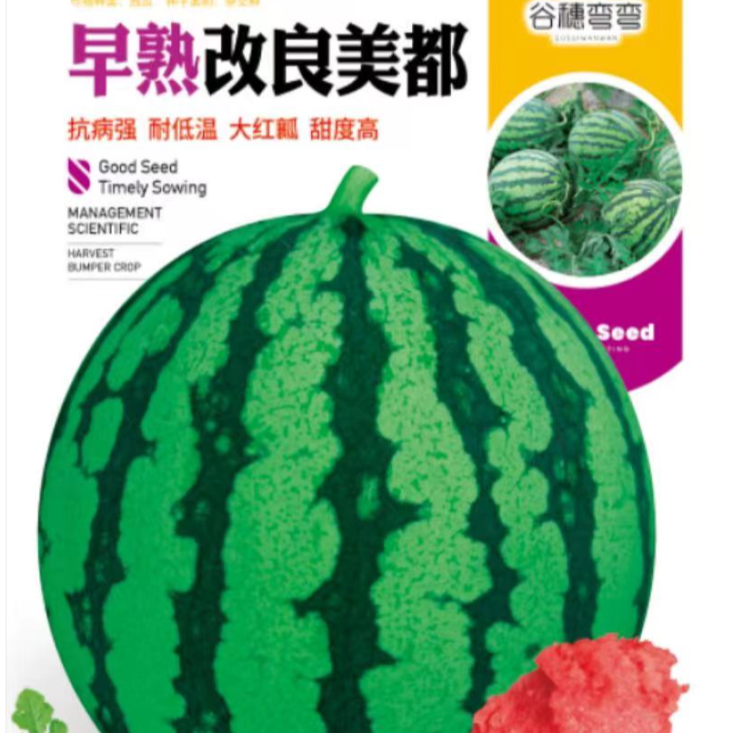 超早熟，改良美都西瓜种子，耐低温，大红瓤，糖度高