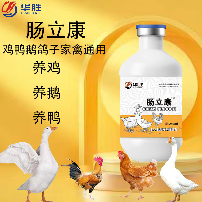 肠立康鸡鸭鹅鸽子家禽一片通用故事受凉拉稀饲料添加剂