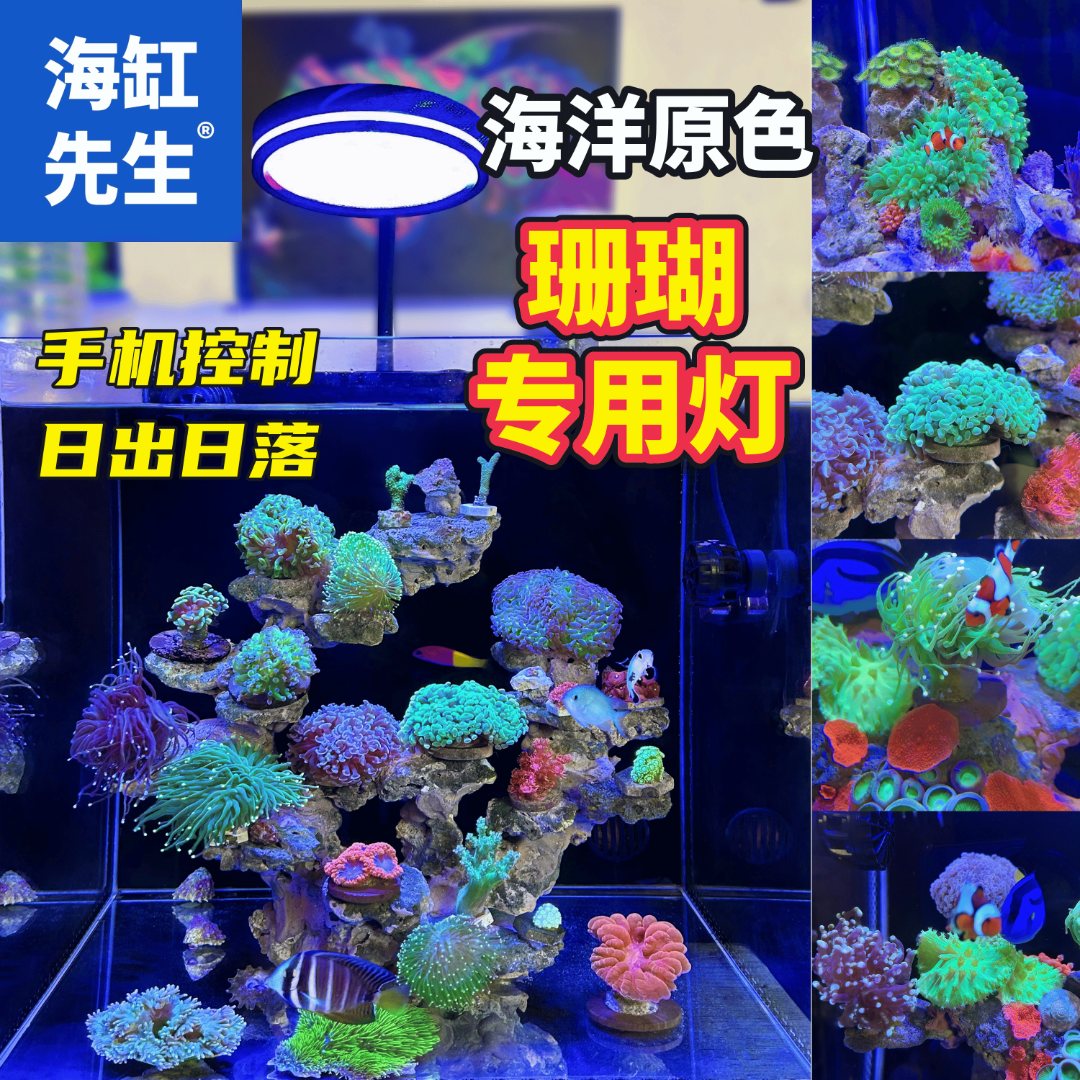 海缸先生海缸珊瑚灯【日出日落】海缸灯 定时蓝光珊瑚海葵观赏发色