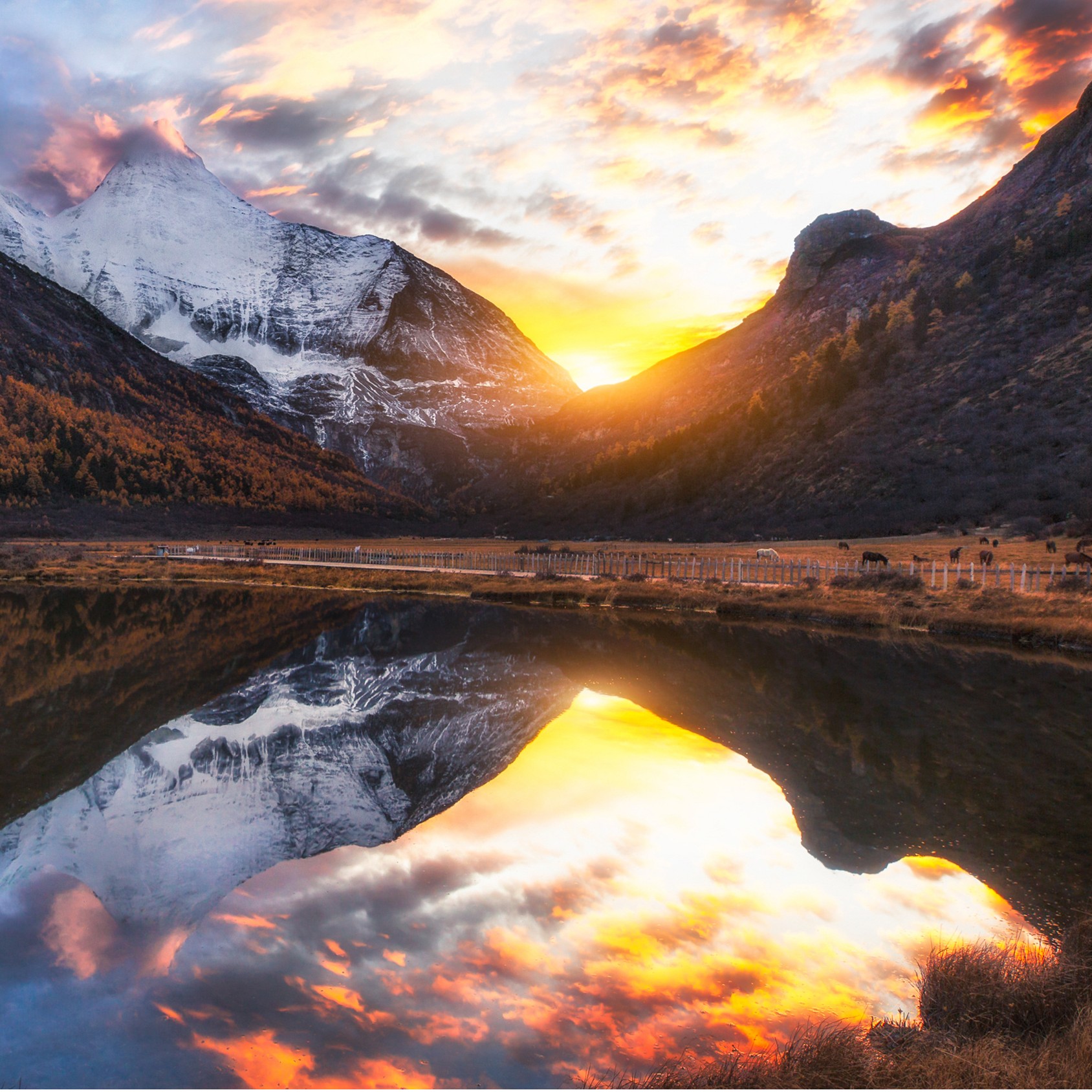 主播手上1倾城主播手上款裙子（NO退NO换）