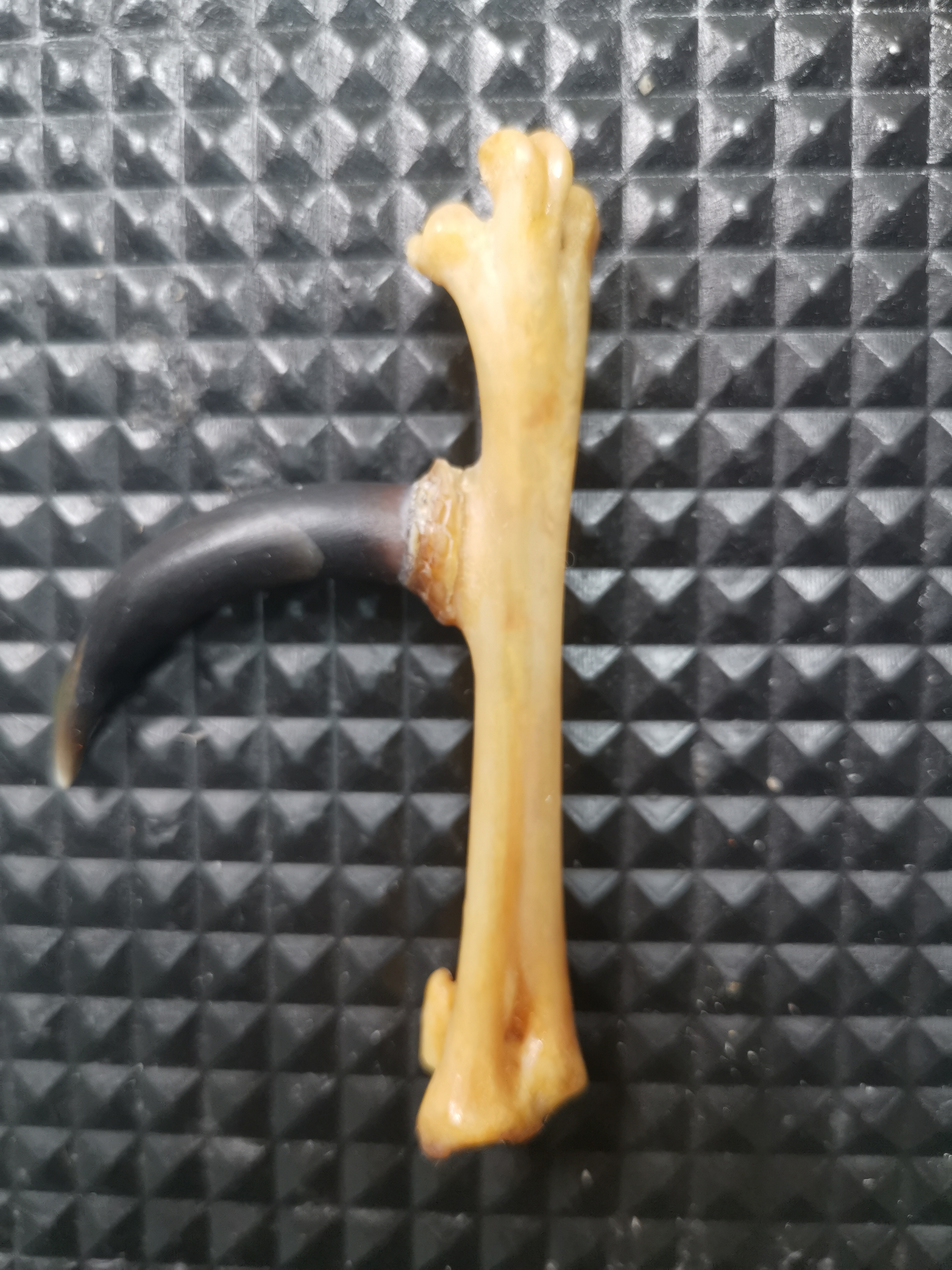 鸡凳子工艺品，黑色弯钩，精心制作，物有所值。