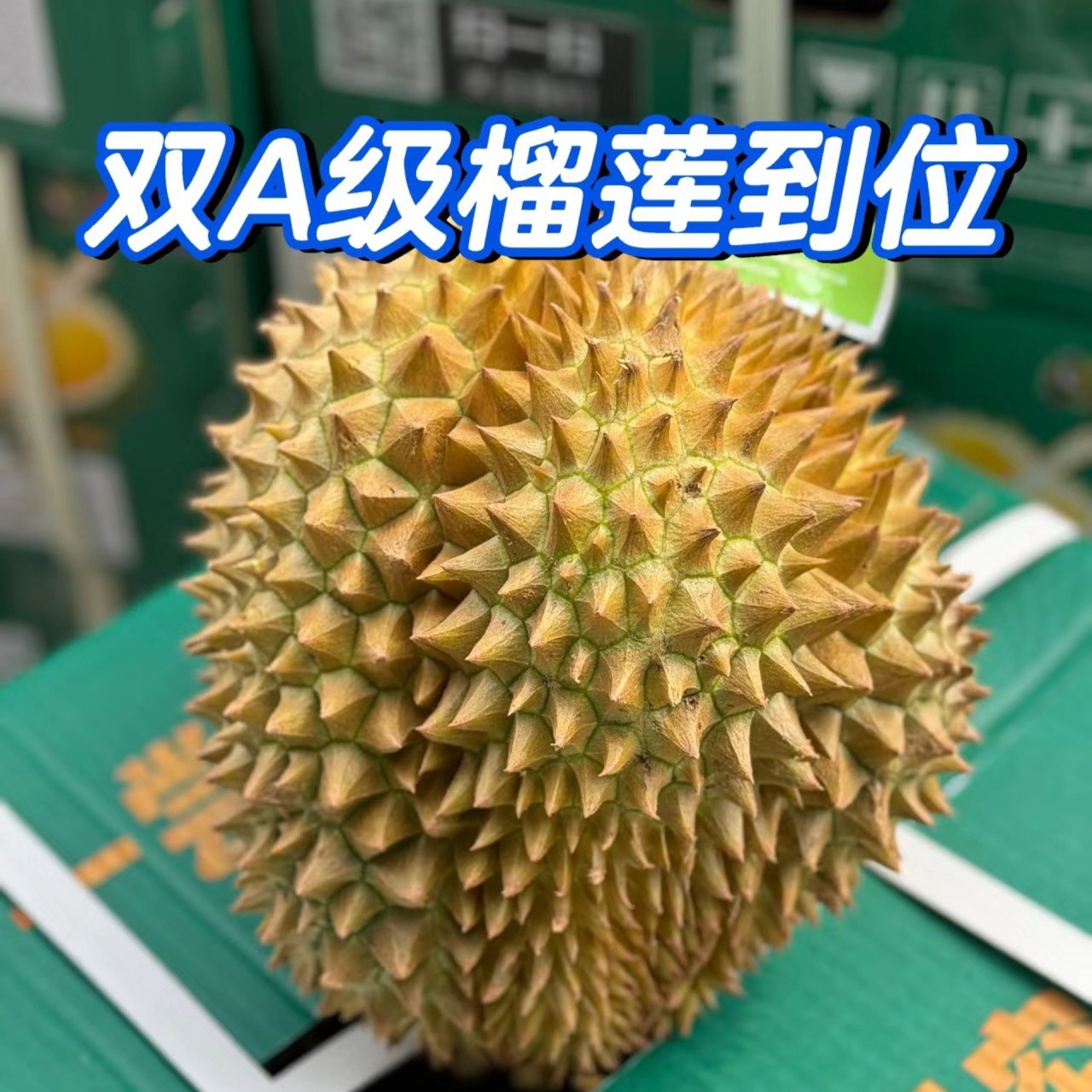 顶级皇家农场红砂土榴莲【双A级泰国空运树熟金枕】精品树熟新鲜榴莲g/核小金枕泰国