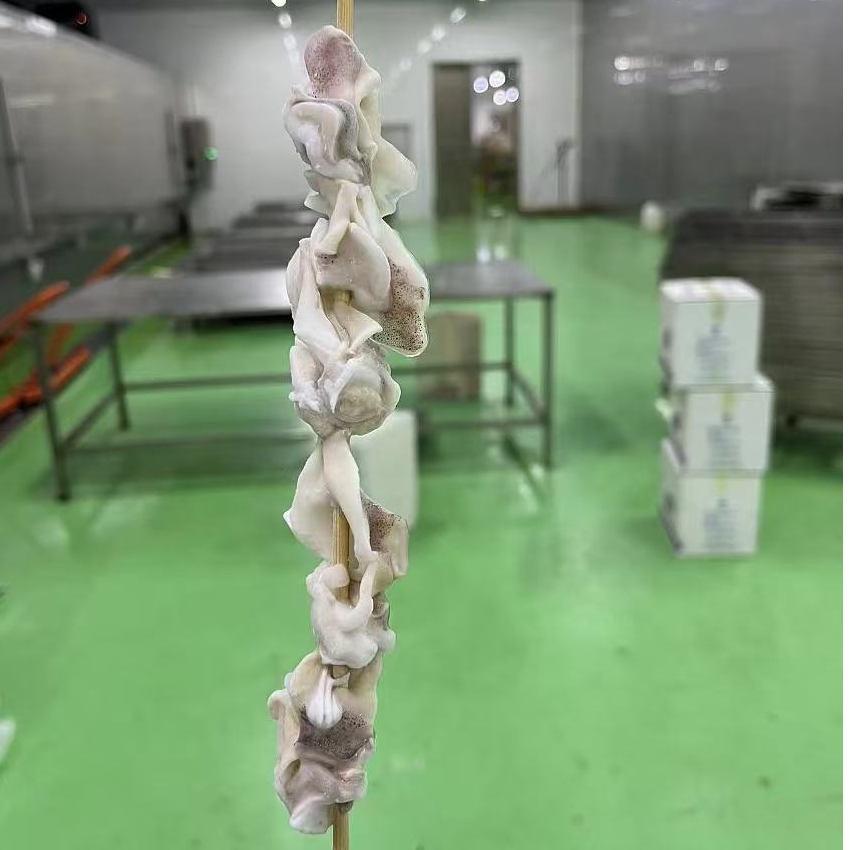 鱿鱼脖串把把串网红小串铁板鱿鱼手把串手工烧烤38g