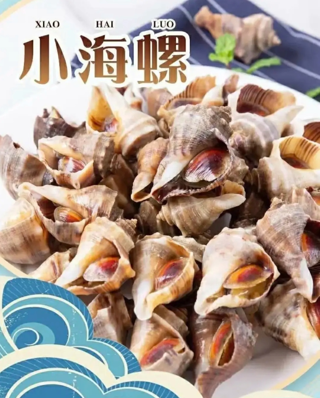 【顺丰】鲜活小海螺2斤含调料捞汁麻辣小海螺鲜活发货不包活响螺