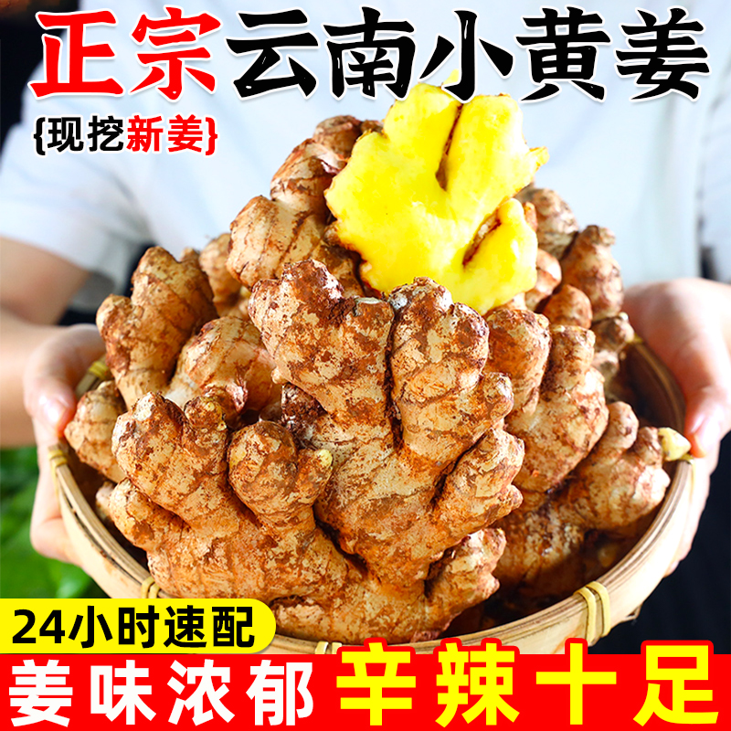 【出口级精选】云南姜小黄姜现挖自己家种植新鲜净重生姜鲜姜包邮香