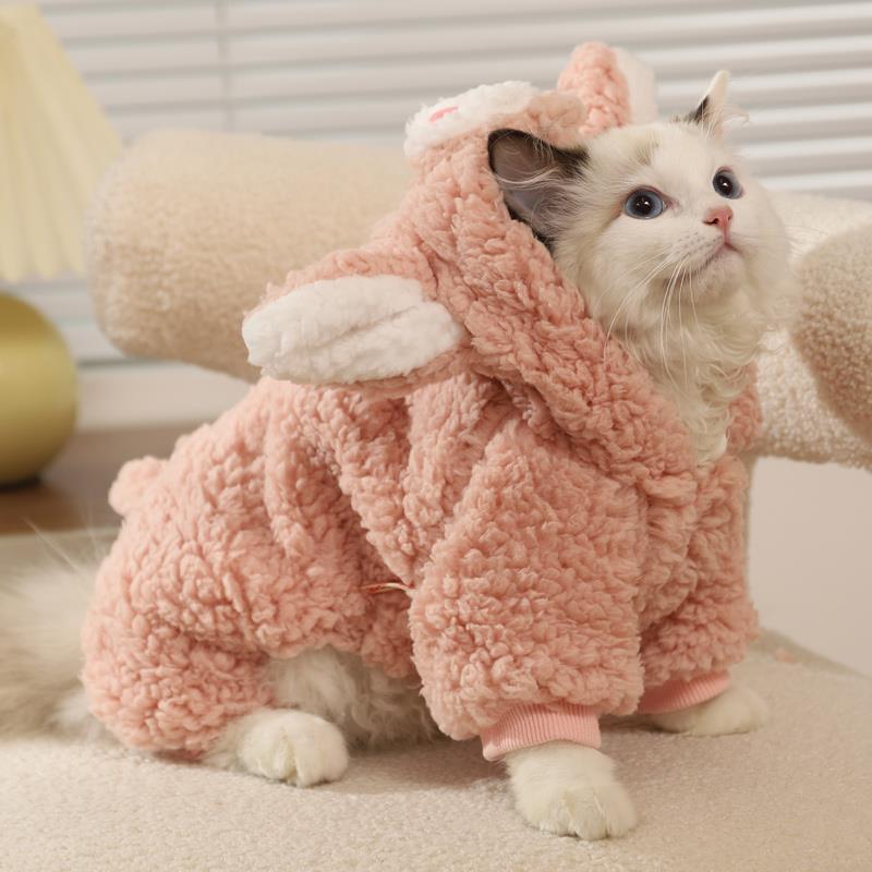 猫咪衣服冬天冬装秋冬保暖布偶猫宠物可爱幼猫小猫冬季猫猫四脚装