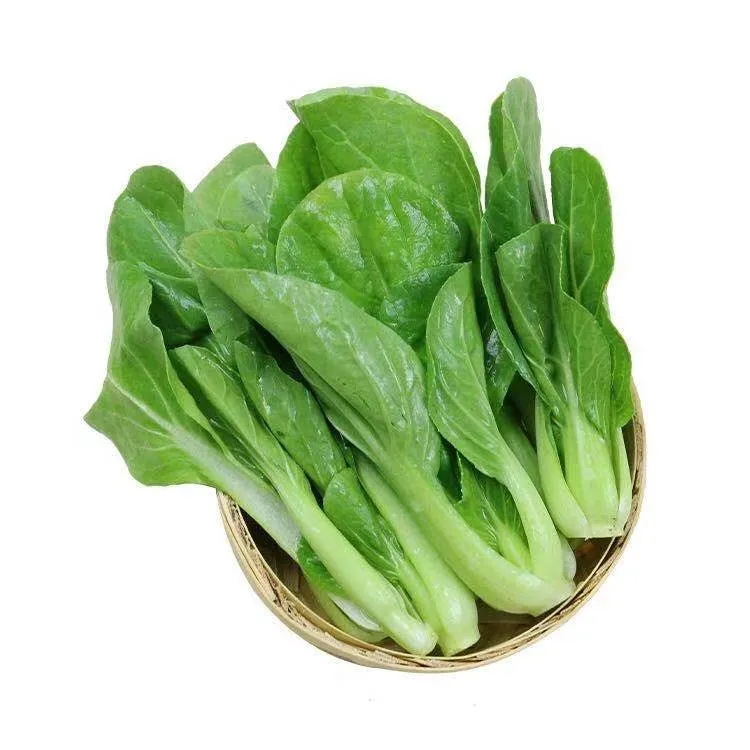 鸡毛菜约500g±50g