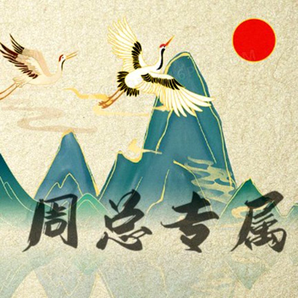 周总专属/信任无价/国风艺术/收藏品/精品文化鉴赏/**20/s01
