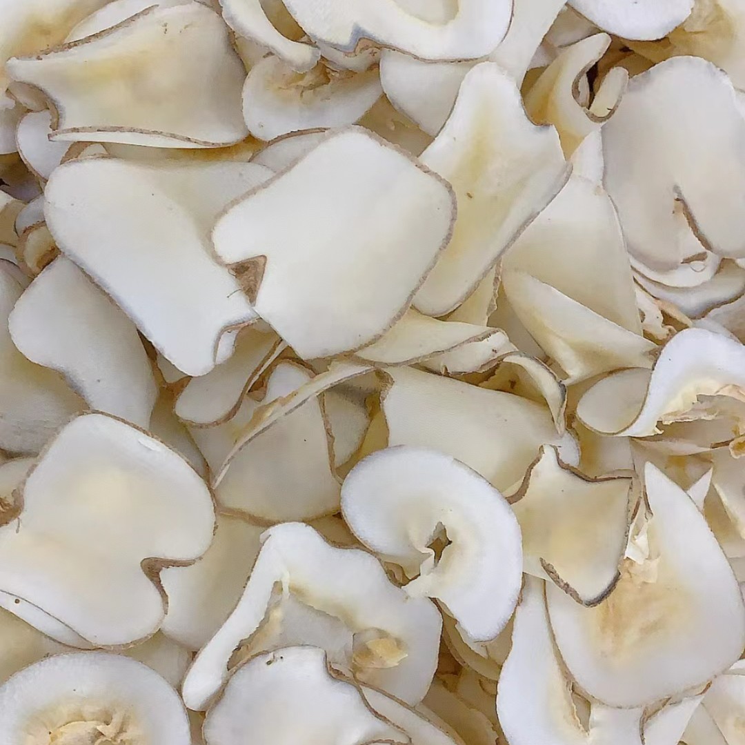 【三三】海底椰片250g 全