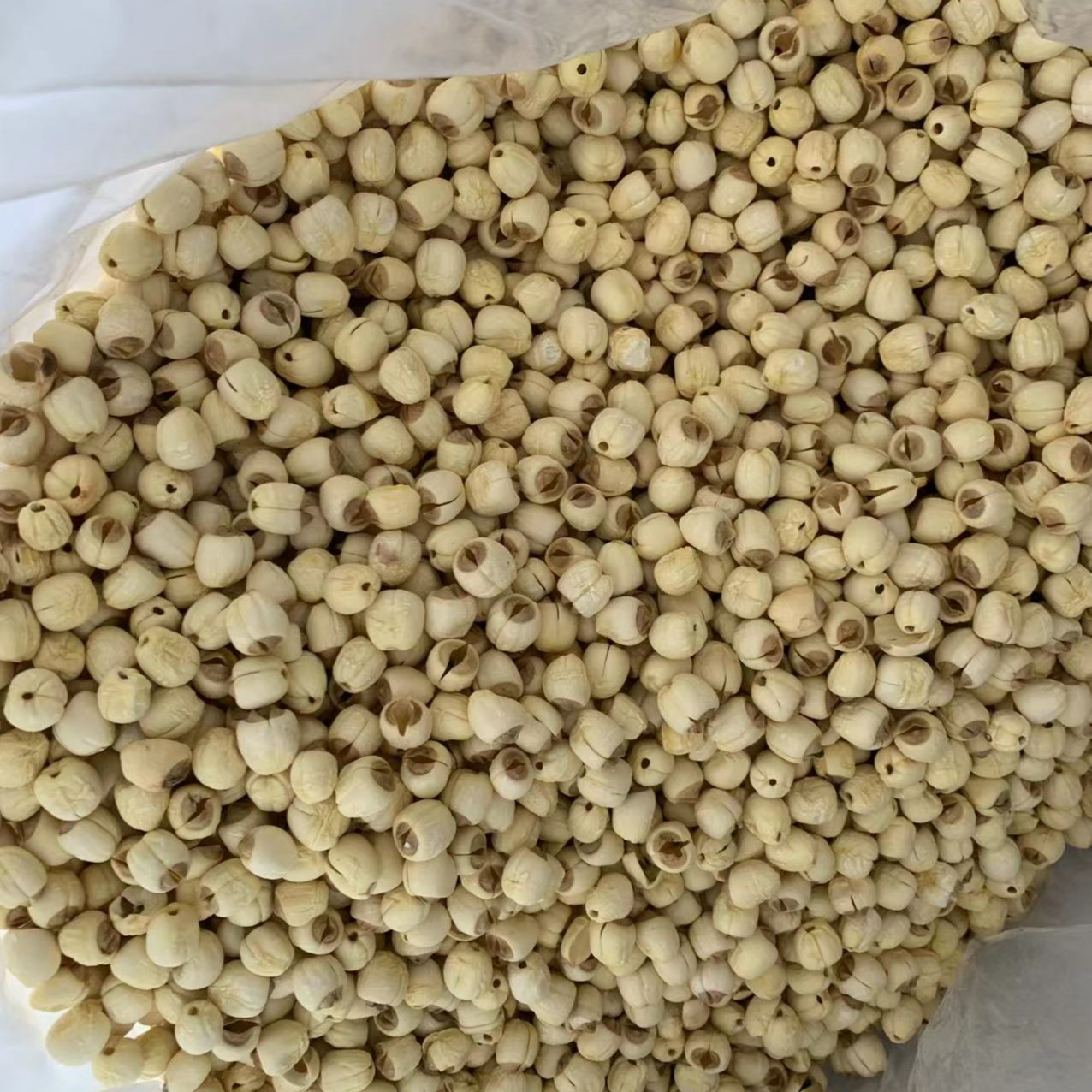  【三三】干莲子  500g