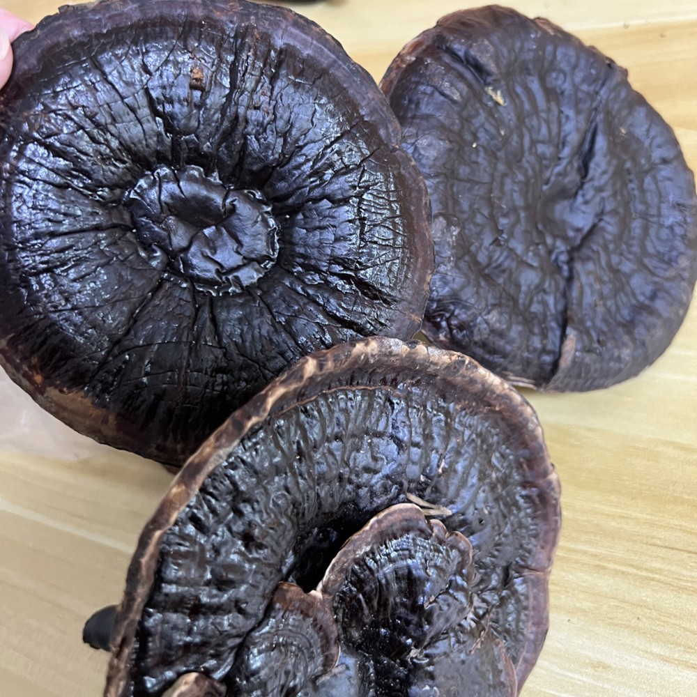 【三三】精选芝菇250g/包