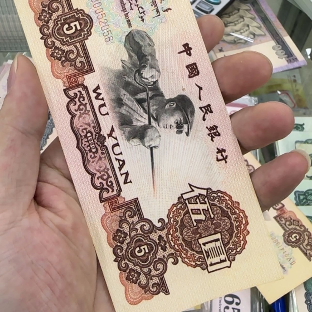 【闪购商品】大*000081