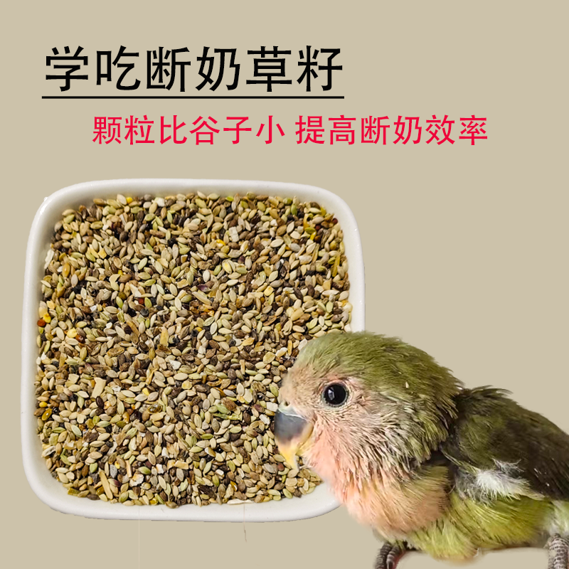 玄凤虎皮牡丹小型鹦鹉饲养零食混合颗粒野生草籽鸟粮系列喂食