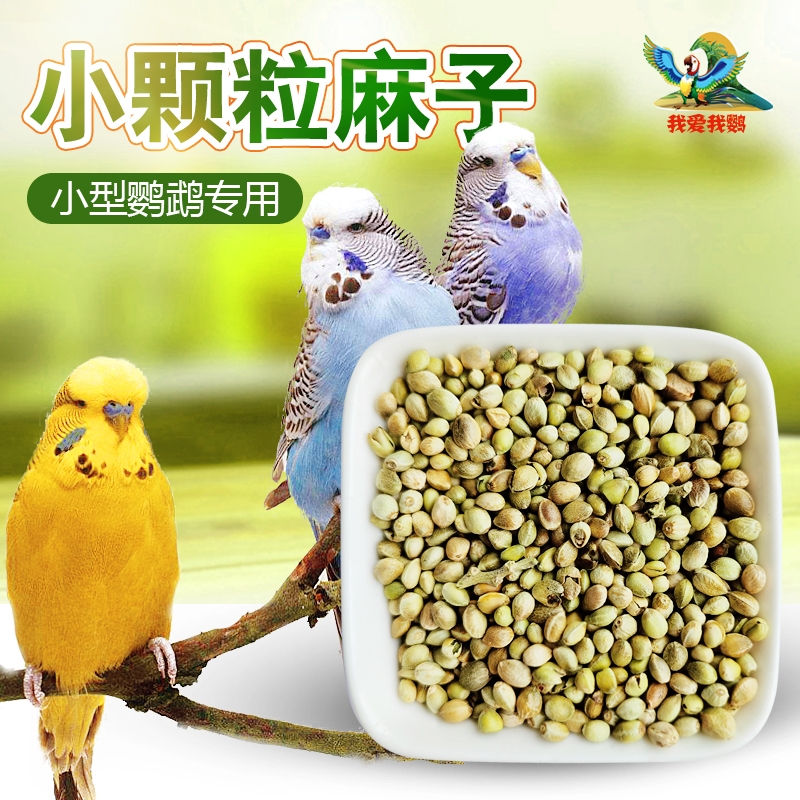 纸壳麻子营养增肥鹦鹉奖励鸟粮专用火麻仁鸟食