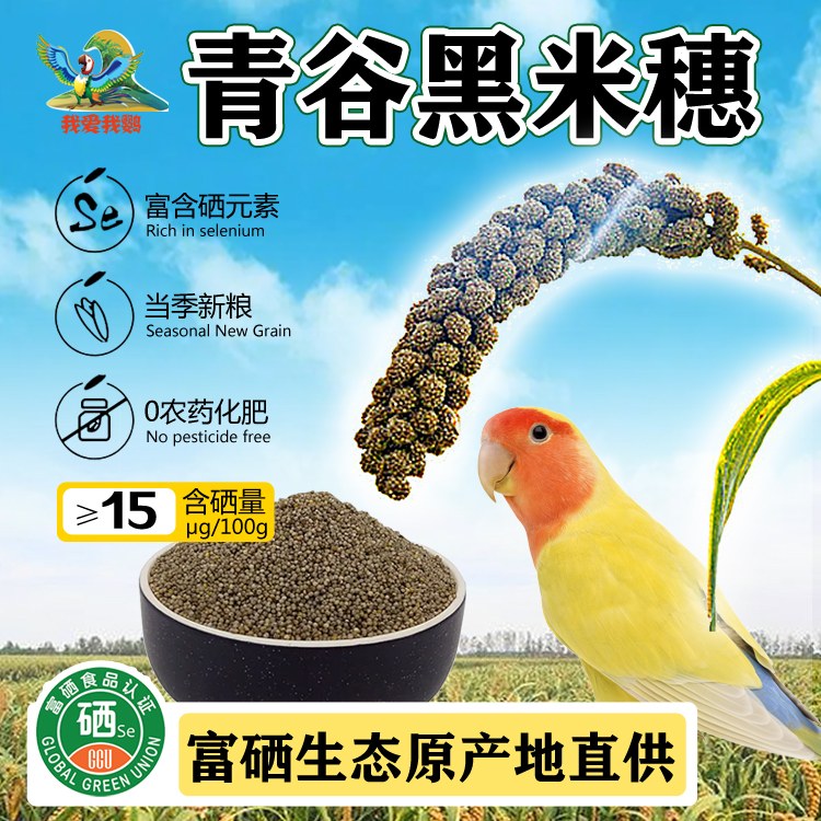 鹦鹉鸟食天然黑谷穗带壳谷子虎皮玄凤牡丹小太和尚健康鹦鹉鸟粮