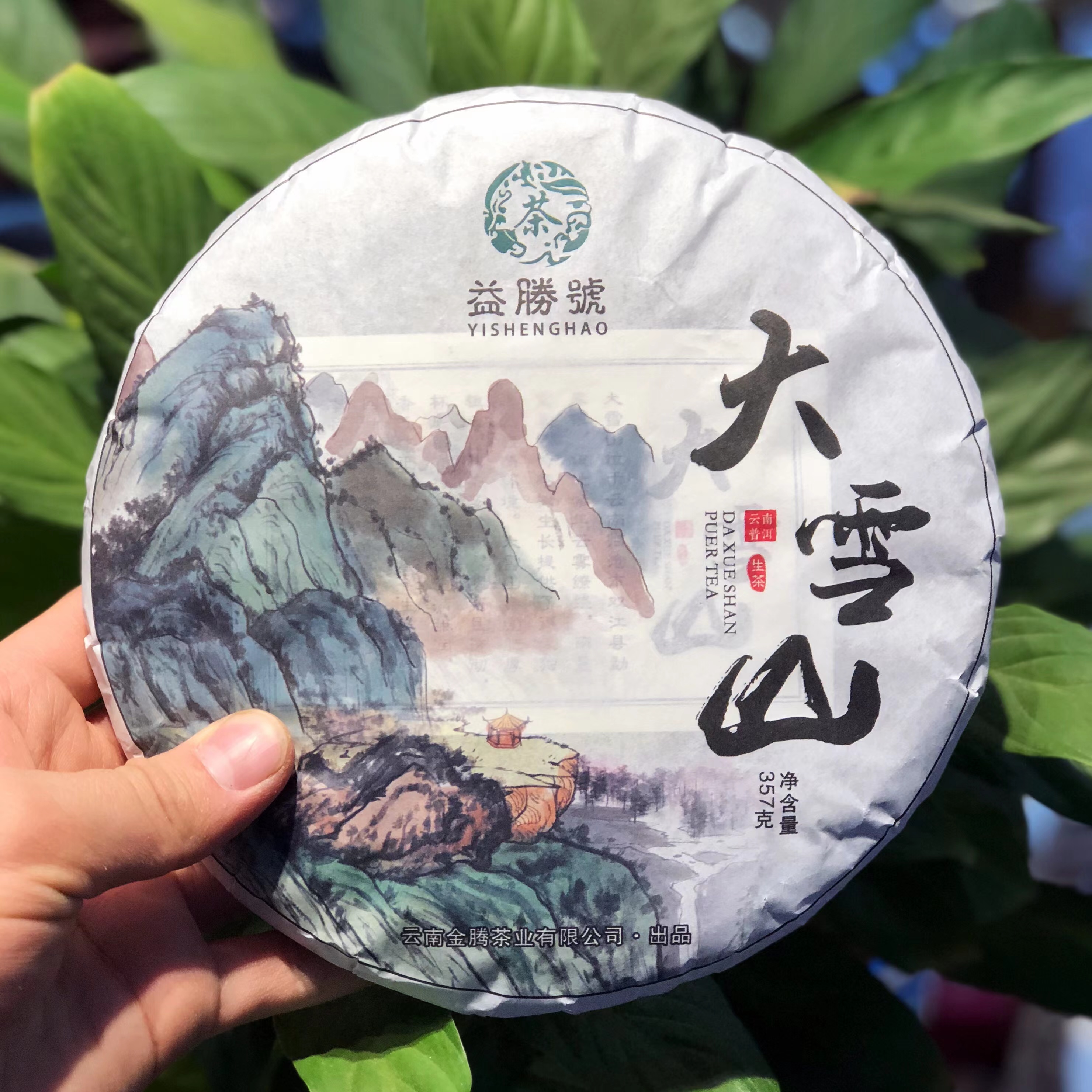 【茶厂专供】2017年大雪山普洱茶生茶357克一饼