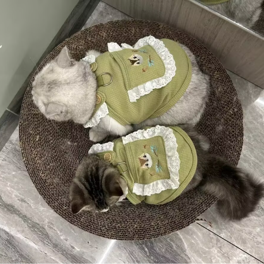 直播间专用→宠物衣服默认微瑕 （No退No换无运费险）