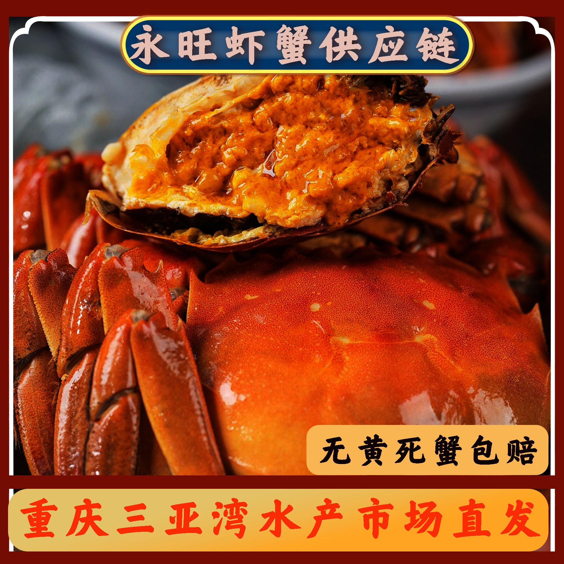 【活蟹】江苏大闸蟹 2两 2.5两 3两 3.5两/只（母蟹）