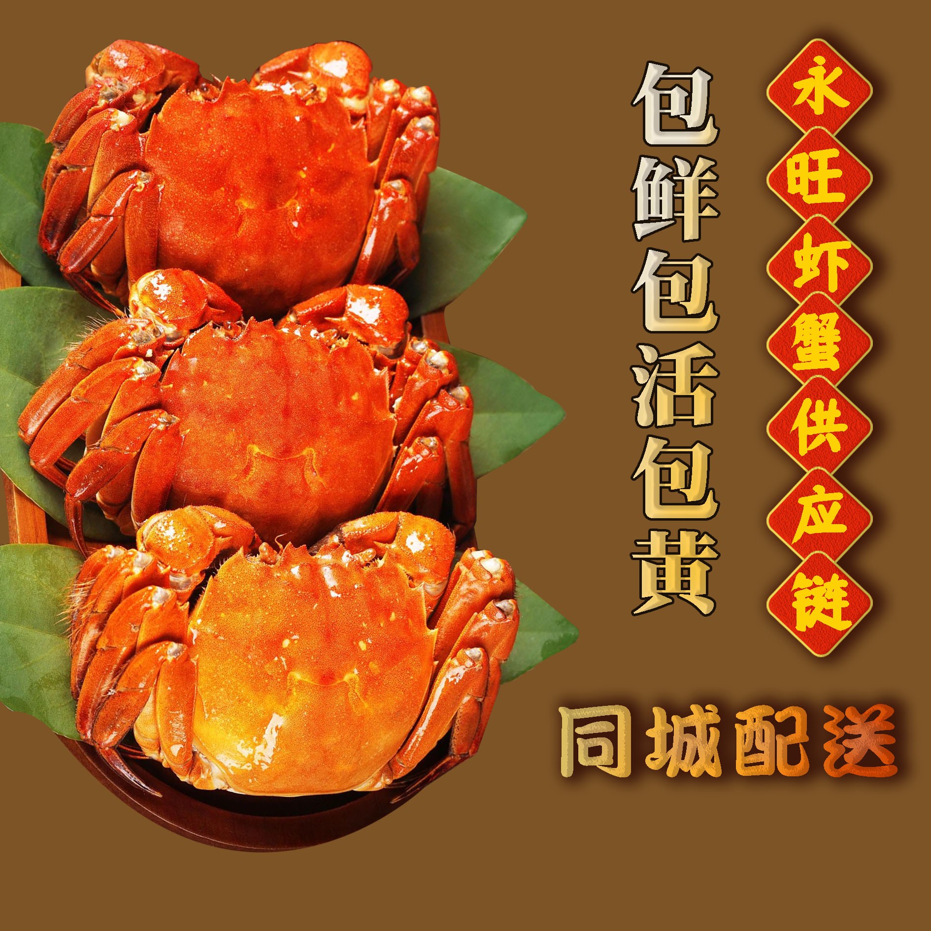 江苏大闸蟹2.2-2.5两母蟹10只装活蟹现发