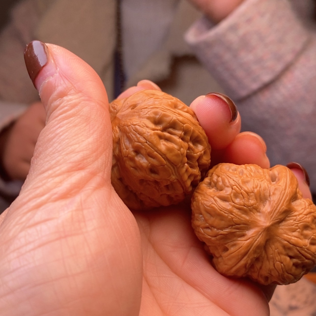 【闪购商品】文玩核桃把件38元宝