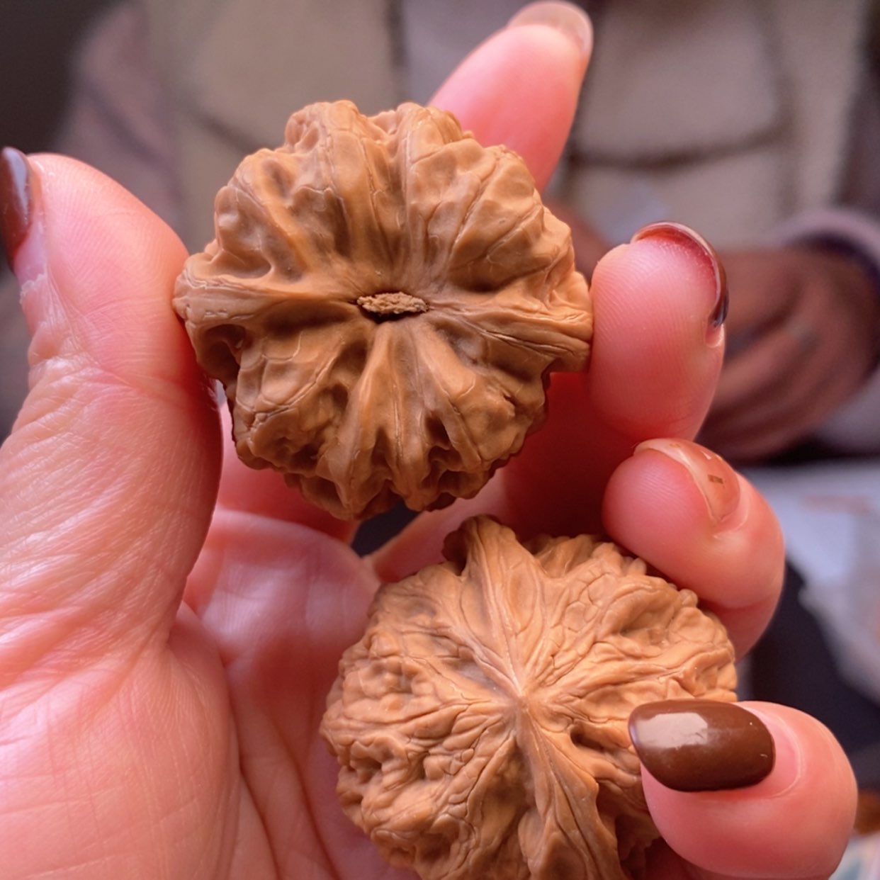 【闪购商品】文玩核桃把件39野牛