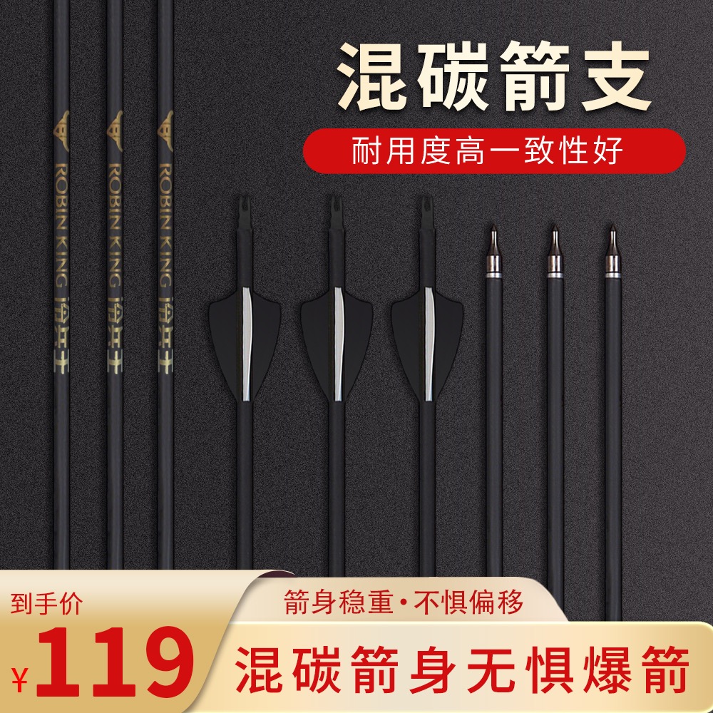 【蛋哥体育器材】复合弓练习箭支12支装  正规体育器材