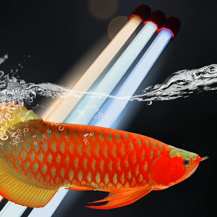 马印13000K红龙金龙发色灯6700专用防水鱼缸灯侧灯诱色潜水灯2700