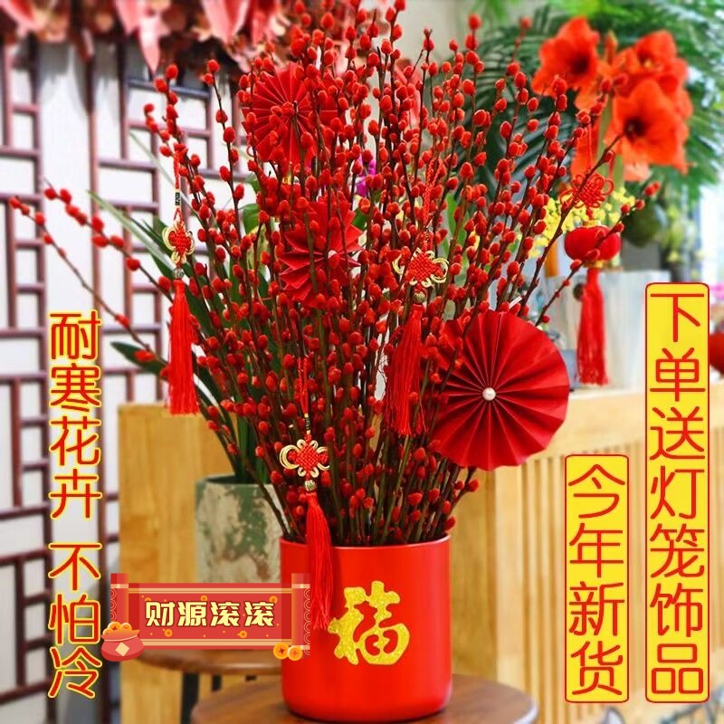 银柳红色干花年宵花卉室内客厅新年喜庆装饰摆件花束耐寒真花鲜枝