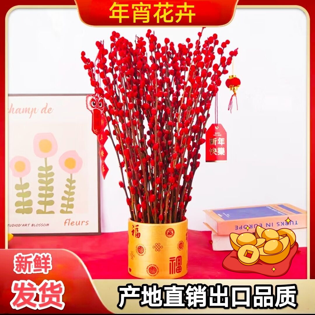 银柳真花鲜枝年宵花卉喜庆插花装饰四季干花客厅春节摆放招财礼物