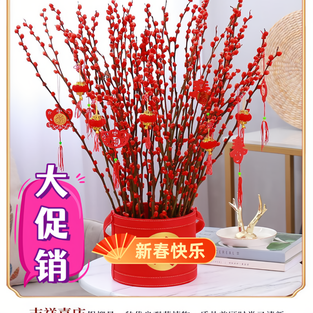 家养好物鲜切银柳真花鲜枝客厅摆件红色年宵花卉水培植物室内干枝