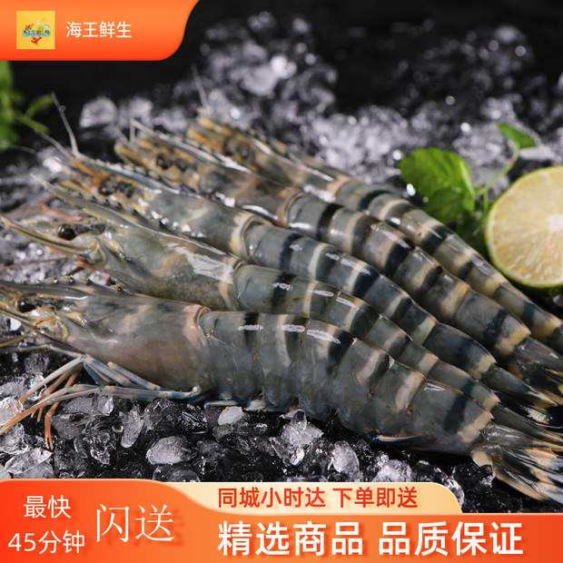 【鲜活虾】湛江鲜活黑虎虾