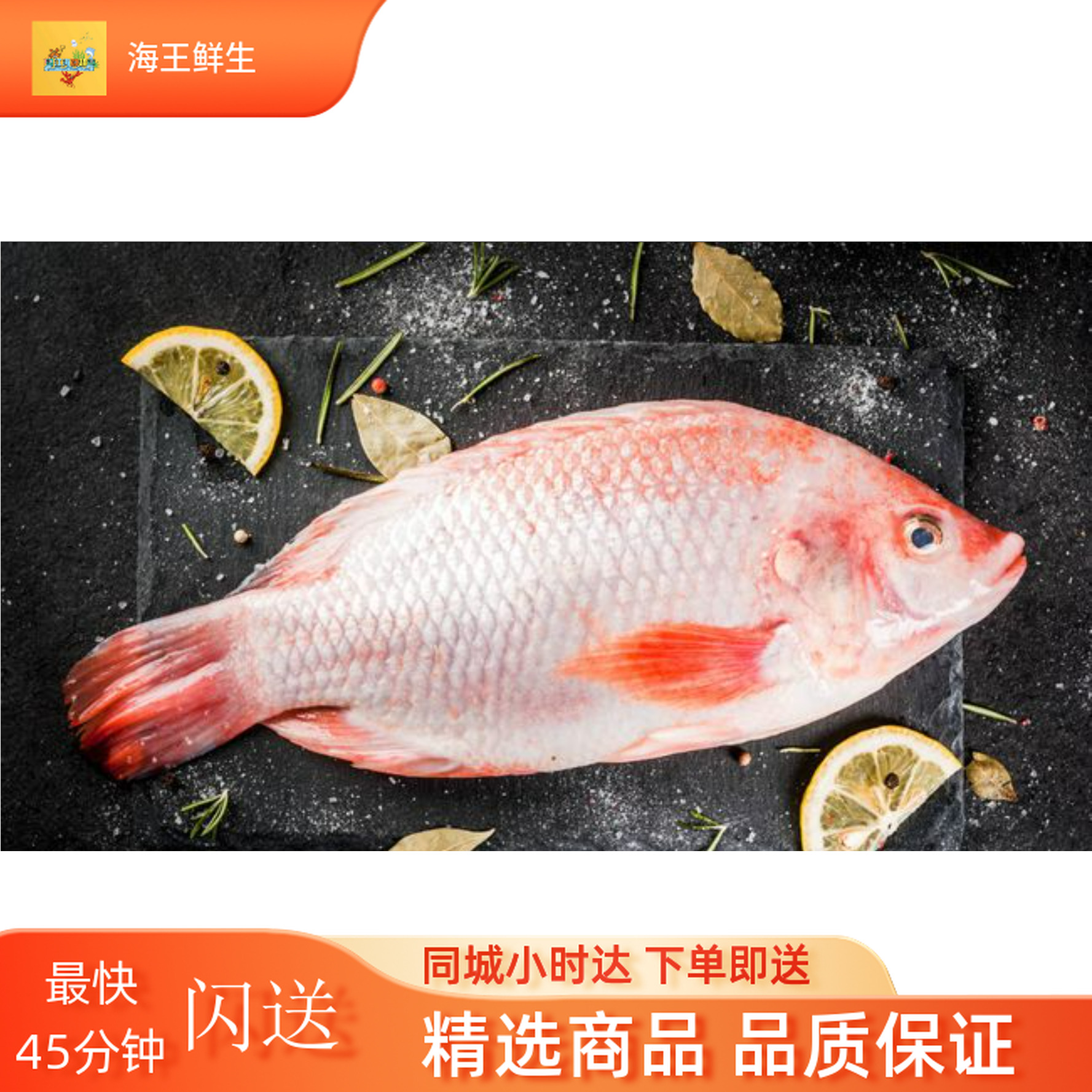 【鲜活鱼】鲜活彩虹鲷鱼